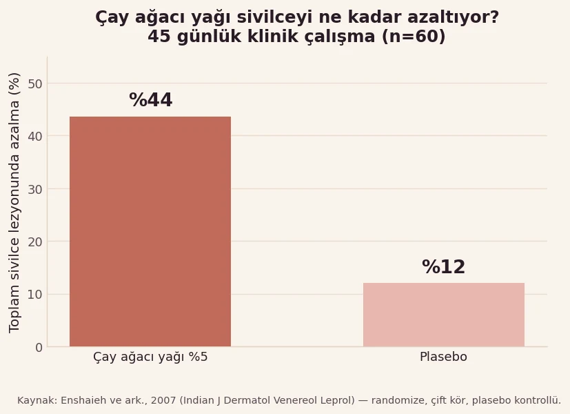 Çay ağacı yağı %5 ile plasebonun sivilce lezyonlarını azaltma oranını gösteren grafik
